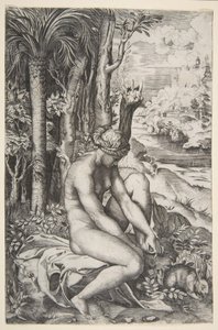 Wenus usuwa cierń z lewej stopy siedząc na obrusie obok drzew, a..., ca. 1515-27. autorstwa Marco Dente