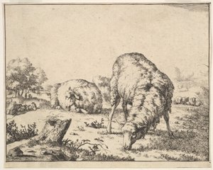 Owce, z zestawu 16 talerzy, 1664.