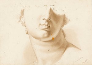 Studium dolnej połowy ludzkiej twarzy, prawdopodobnie posągu autorstwa Margaret Louisa Herschel