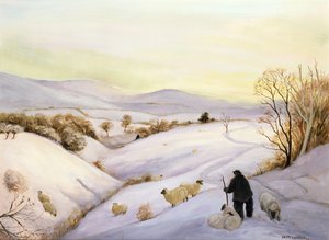 Owce na grzbiecie autorstwa Margaret Loxton