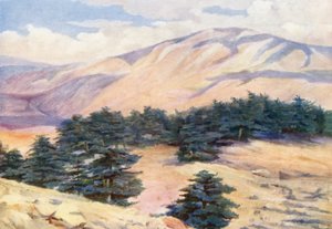 Widok ogólny na Cedry i Dehr el Kodib (kolorowa litografia) autorstwa Margaret Thomas