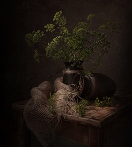 Mroczna martwa natura z motywami roślinnymi autorstwa Margareth Perfoncio
