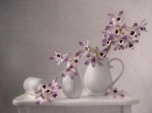 Delikatna martwa natura z orchideą