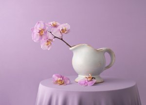 Eleganckie lawendowe storczyki