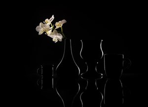 Eleganckie sylwetki orchidei autorstwa Margareth Perfoncio