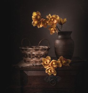 Żółte orchidee w nastrojowych odcieniach autorstwa Margareth Perfoncio