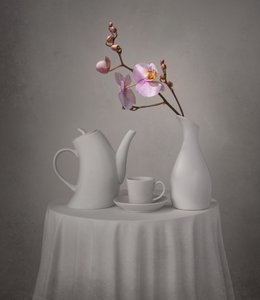 Czas na herbatę z różową orchideą autorstwa Margareth Perfoncio