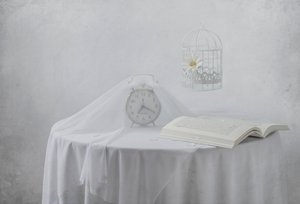 Książka „Serene Clock” – klatka dla ptaków autorstwa Margareth Perfoncio