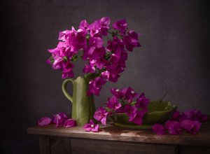 Żywe martwe natury z bugenwillą autorstwa Margareth Perfoncio