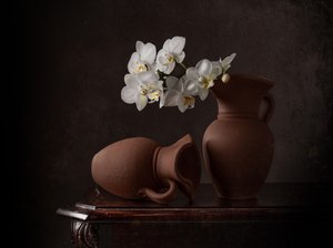 Martwa natura z białymi orchideami