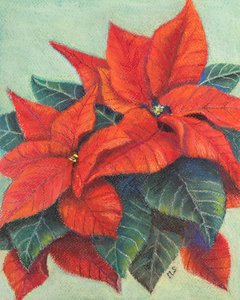 Poinsecja, 2022 (pastel) autorstwa Margo Starkey