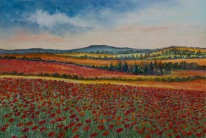 Pola makowe...Flandria, 2020 (pastel) autorstwa Margo Starkey