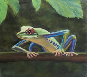 Rzekotka drzewna, 2020 (pastel) autorstwa Margo Starkey