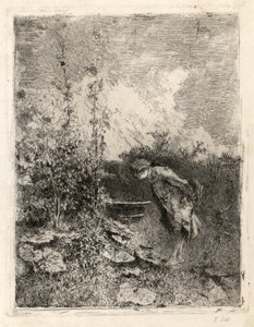 botanik