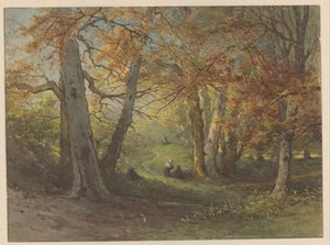 Widok na las w Oosterbeek