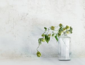  autorstwa Marie-anne Stas