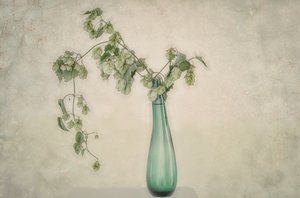 Martwa natura z zielonym chmielem autorstwa Marie-anne Stas