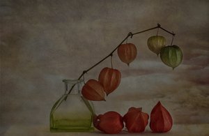 Ciche jesienne lampiony autorstwa Marie-anne Stas