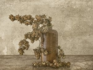 Rustykalna martwa natura z chmielem autorstwa Marie-anne Stas