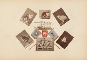 Album Madame B autorstwa Marie Blanche Hennelle Fournier