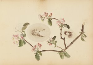 The Madame B Album   1273359   pl       polish Successfully Translated  Original: No. 39: Agematsu, from the series "Sixty-nine Stations of the Kisokaido (Kisokaido rokujukyu tsugi no uchi)" Translat: No. 39: Agematsu, from the series "Sixty-nine Stations  autorstwa Marie Blanche Hennelle Fournier