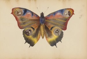 Album Madame B autorstwa Marie Blanche Hennelle Fournier