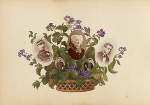 Album Madame B, lata 70. XIX wieku. autorstwa Marie Blanche Hennelle Fournier