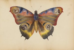 Album Madame B, lata 70. XIX wieku. autorstwa Marie Blanche Hennelle Fournier