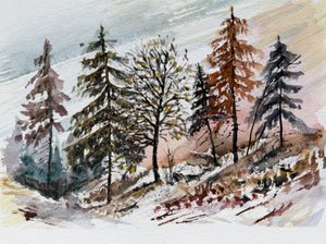 Śnieżny świt w lesie