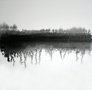 Monochromatyczne odbicie lasu autorstwa Marina Nelson