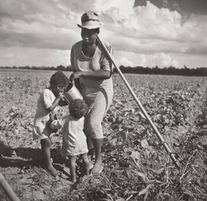 Czarnoskóra kobieta dająca dzieciom pić na polu, gdzie pieli bawełnę w ramach projektu FSA Cooperative Project (plantacja Allen)