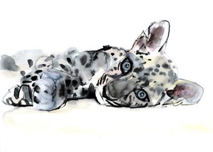 Arabian Leopard Cub, 2008 autorstwa Mark Adlington