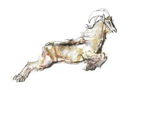 Arabian Tahr, 2009 (conte i węgiel na papierze) autorstwa Mark Adlington