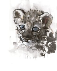 Niebieskie Oczy (Cub lamparta arabskiego), 2008 autorstwa Mark Adlington