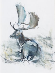 Buck in the Grass, 2006 (węgiel i conte na papierze) autorstwa Mark Adlington