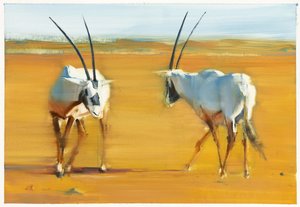 Krążący Arabian Oryx, 2010 (olej na papierze) autorstwa Mark Adlington
