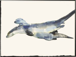Zaloty wydry autorstwa Mark Adlington