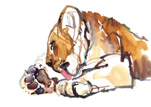 Grooming Cub, 2019 autorstwa Mark Adlington