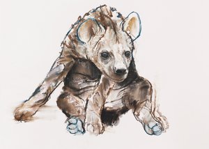 Hyaena Pup (głowa w dół), 2019 autorstwa Mark Adlington