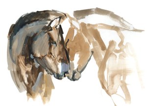 Nos w nos (Przewalski), 2013 (tusz sennelier, akwarela i gwasz) autorstwa Mark Adlington