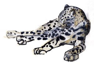 Leopard (leopard arabski), 2008 autorstwa Mark Adlington