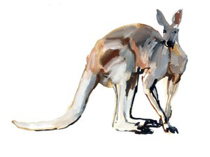 Roo, (Czerwony Kangur), 2012, (akwarela i pigment na papierze)