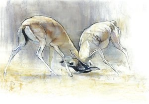 Gazele Piasku, 2009 (conte i węgiel na papierze) autorstwa Mark Adlington