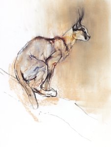 Siedzący Karakal, 2009 (conte und węgiel na papierze) autorstwa Mark Adlington