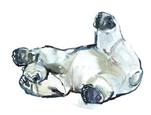 Snow Rub (Niedźwiedź polarny), 2013 (akwarela i gwasz na papierze) autorstwa Mark Adlington