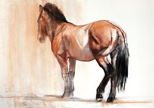 Stoisko (Przewalski), 2013, (pastel i węgiel na papierze)