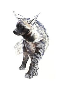 Szczenię hyaeny pasiastej, 2010, (kontur i pastel na papierze) autorstwa Mark Adlington