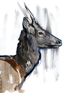 Przełącznik (profil), 2023 autorstwa Mark Adlington