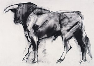 Toro Azul, studium (węgiel na papierze) autorstwa Mark Adlington
