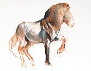 Toczenie (Przewalski), 2013, (pastel i węgiel na papierze)